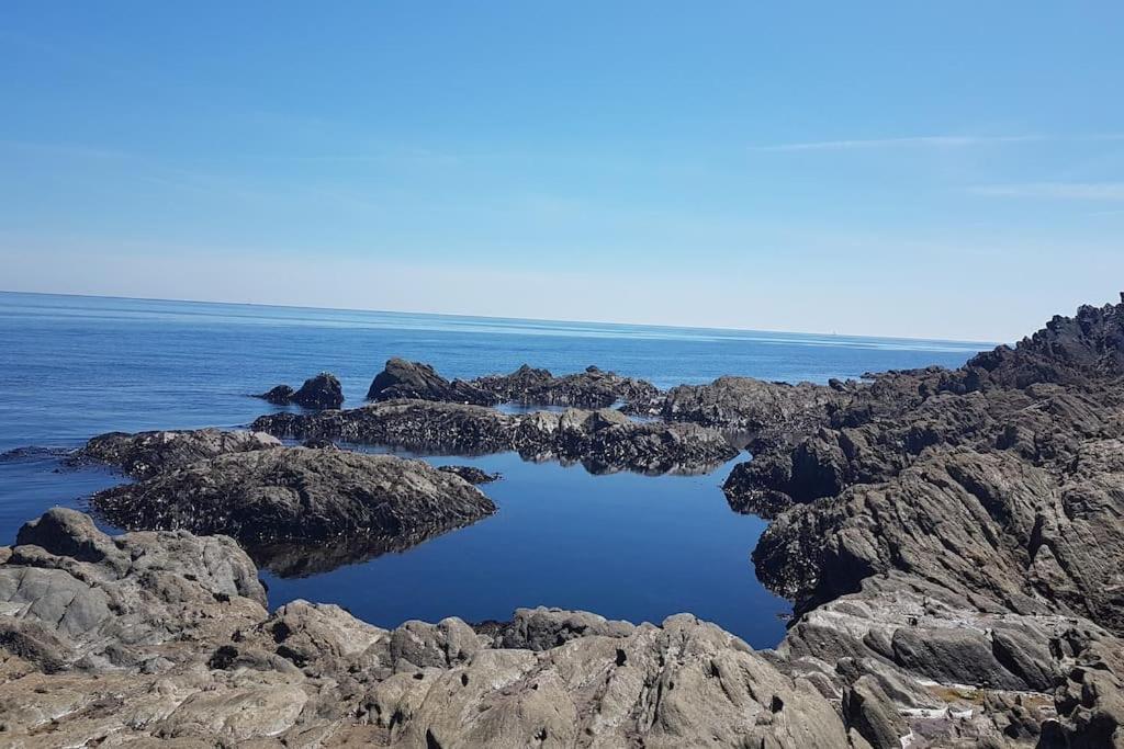 Bijou Coastal In With Hot Tub Onsite Parking Downhill Walk To Village *