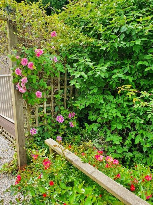 Bijou Coastal In With Hot Tub Onsite Parking Downhill Walk To Village Holiday home